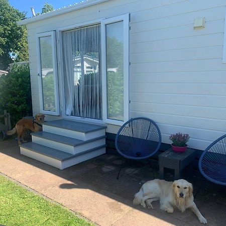 N 9Strandnahes, Hunde-Familienfreundliches Ferienhaus Callantsoog Extérieur photo
