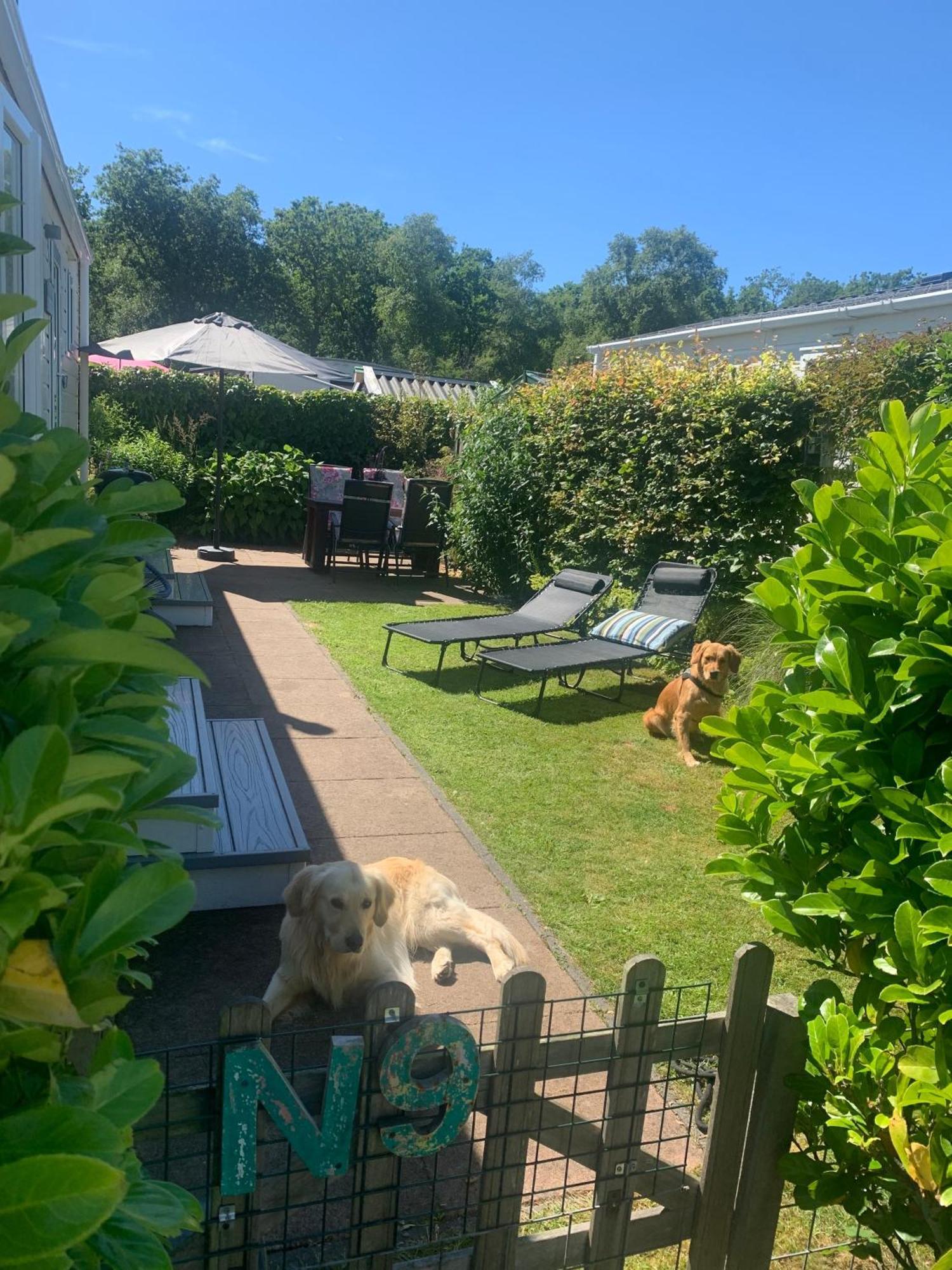 N 9Strandnahes, Hunde-Familienfreundliches Ferienhaus Callantsoog Extérieur photo