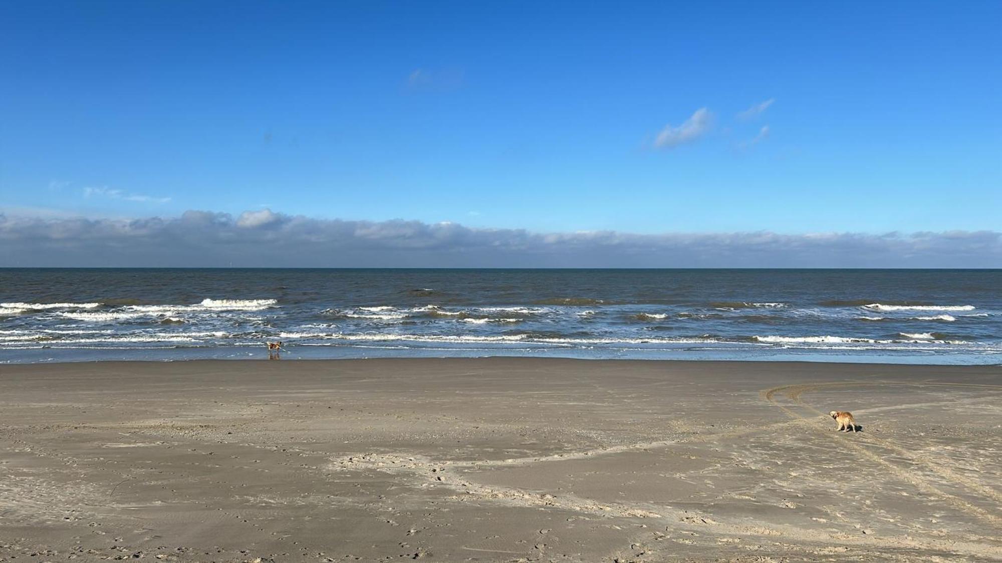 N 9Strandnahes, Hunde-Familienfreundliches Ferienhaus Callantsoog Extérieur photo